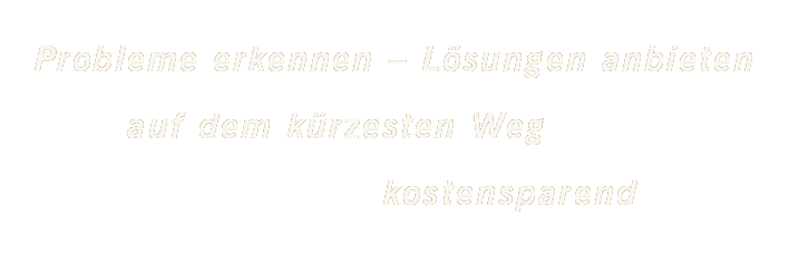 Probleme erkennen - Lösungen anbieten, auf dem kürzesten Weg, kostensparend.